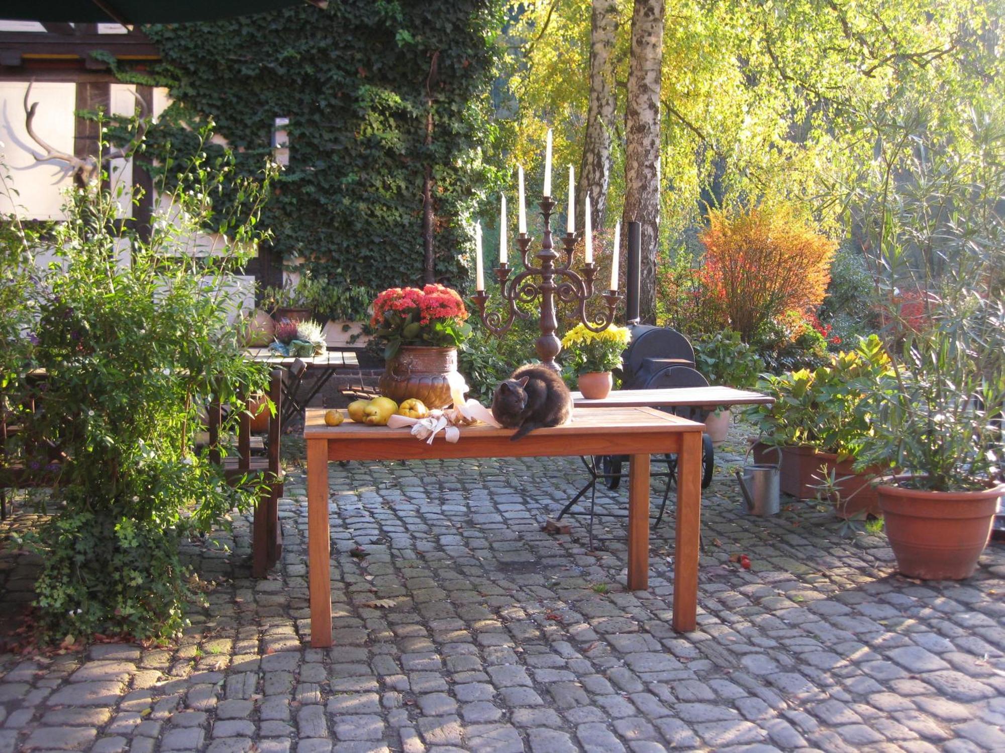 Hotel Schlafschoen Hannoversch Münden Εξωτερικό φωτογραφία
